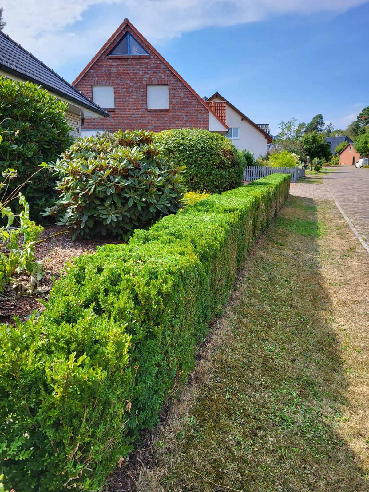 Gartenpflege mit sauberem Rasenschnitt