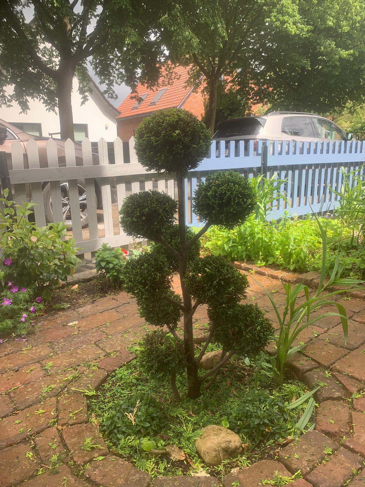 Pflege von Grünflächen und Gartenanlagen