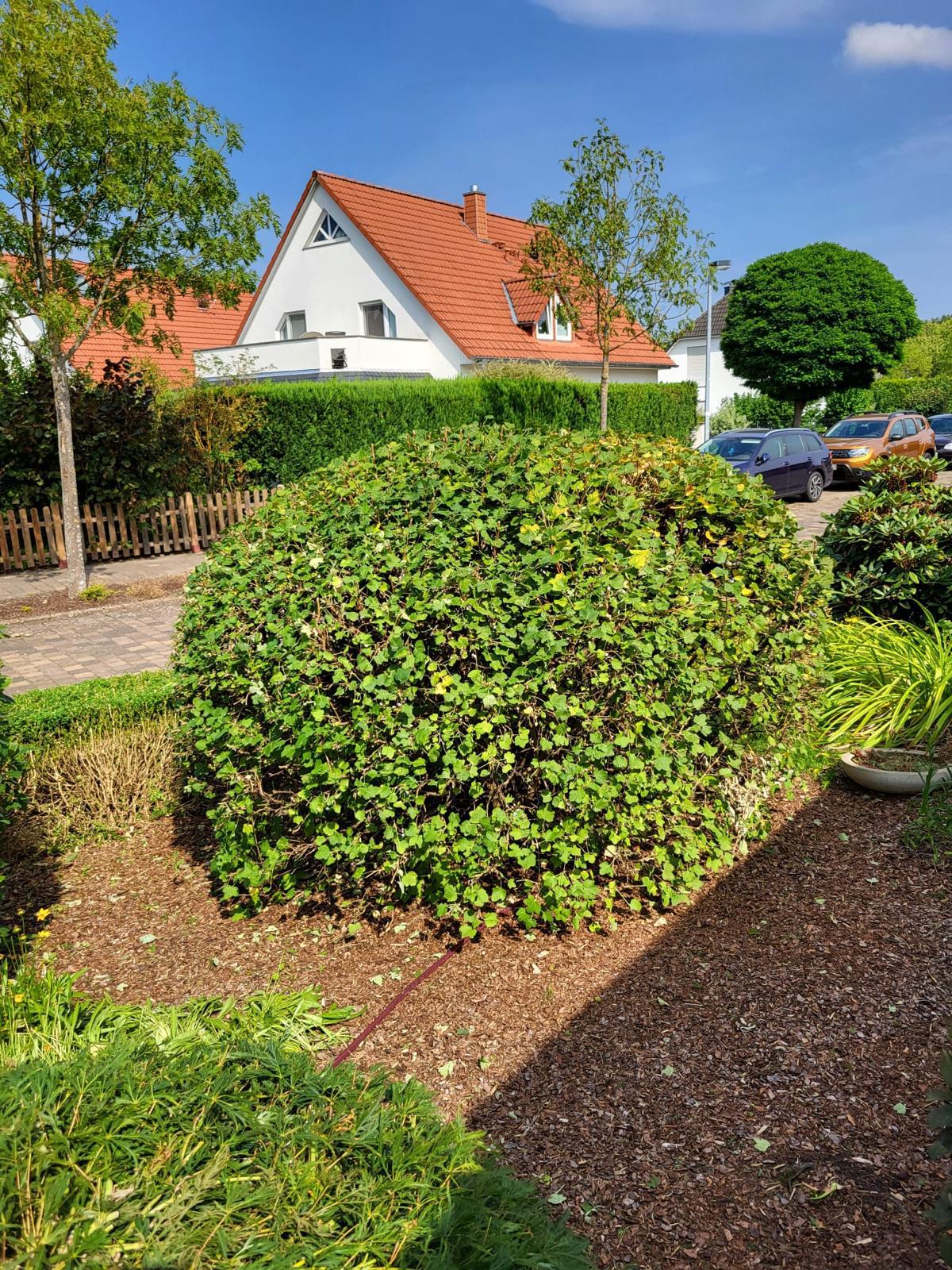 Gartenservice für Privatkunden