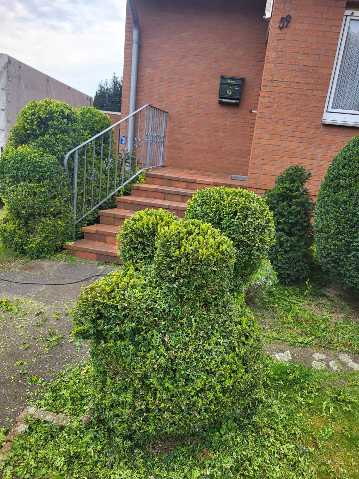 Geschnittene Hecke in Celle
