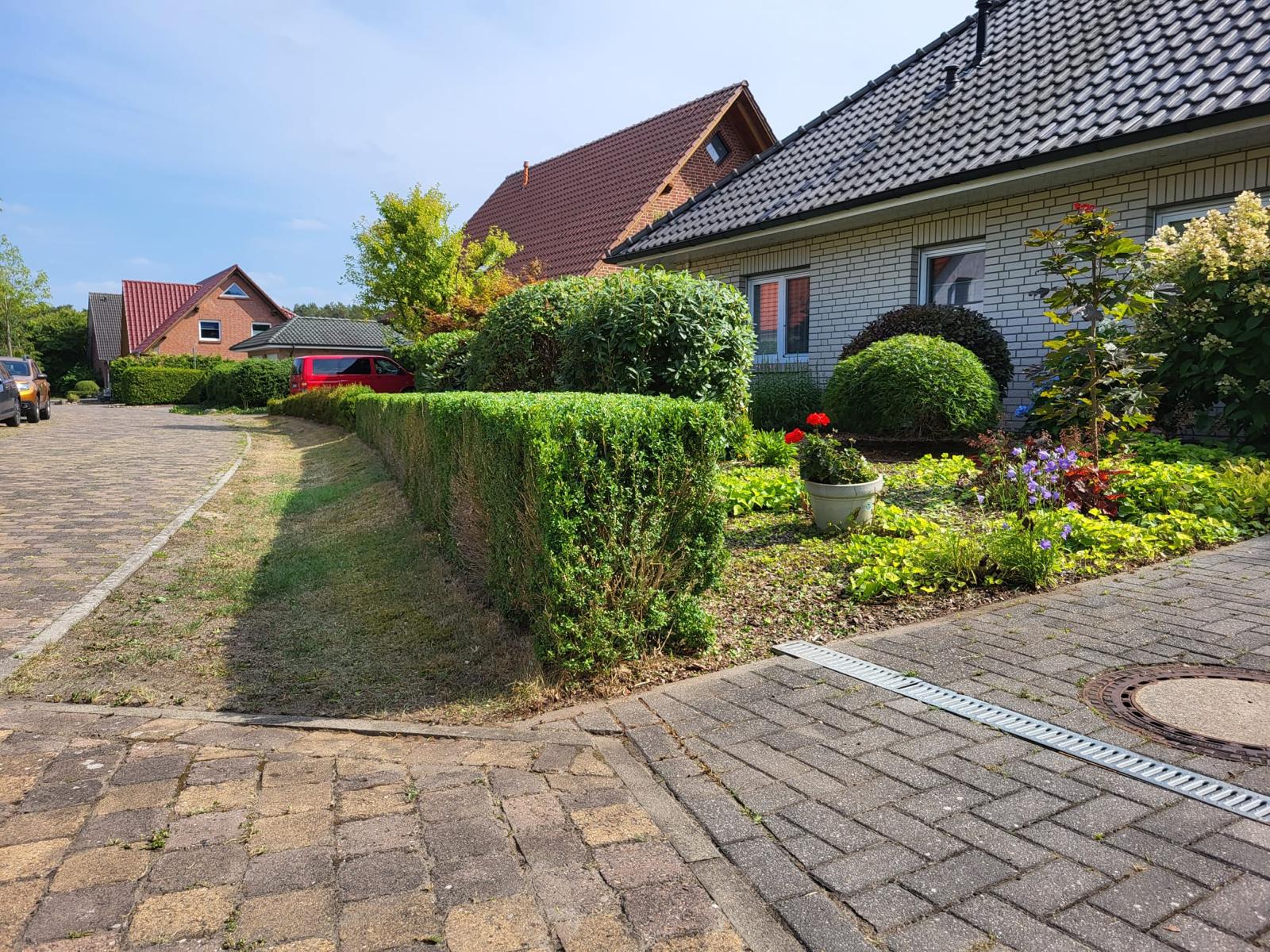 Dichte und gepflegte Hecke