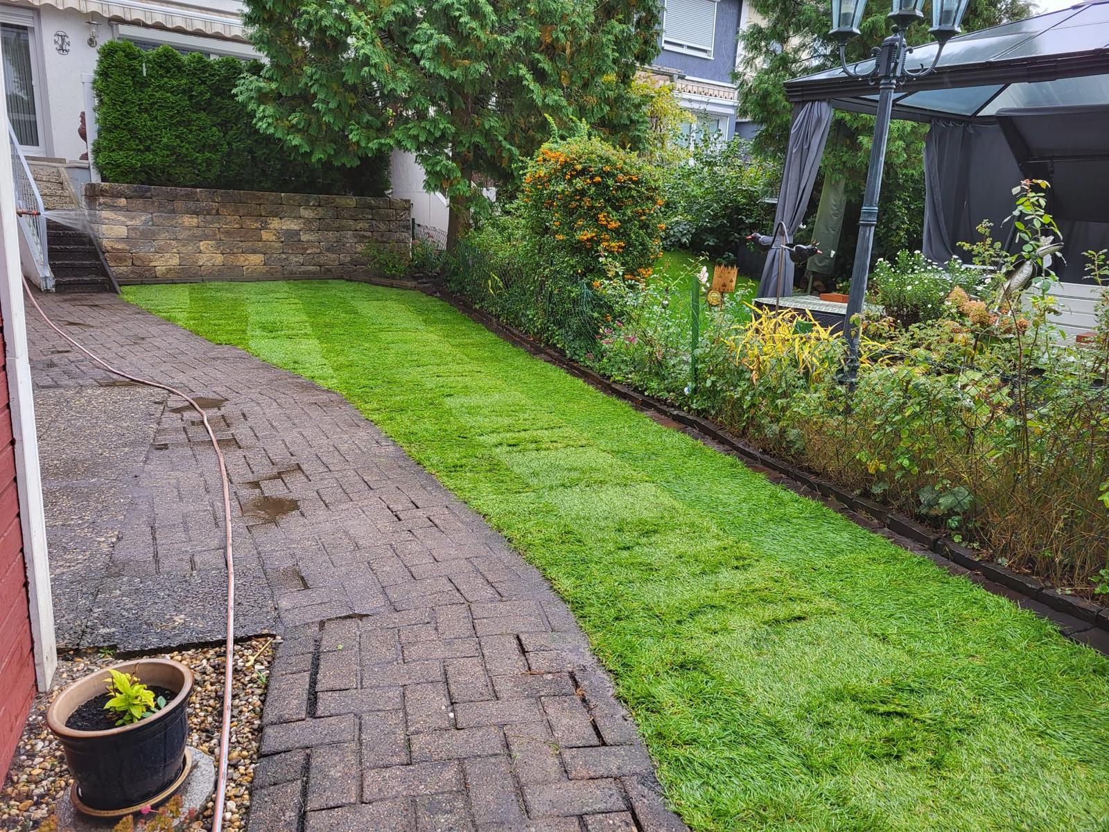 Gepflegter Gartenrasen
