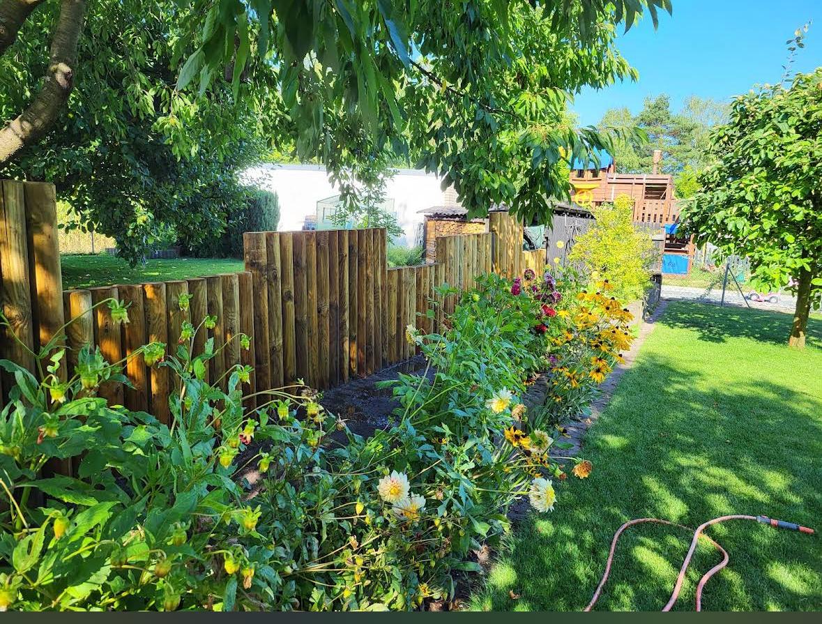 Grüner Rasen und professionelle Gartenpflege in Celle